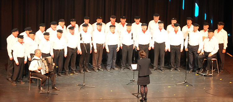 Chorgemeinschaft Bergedorfer Männerchor Hoffnung-Holsatia Chorfoto