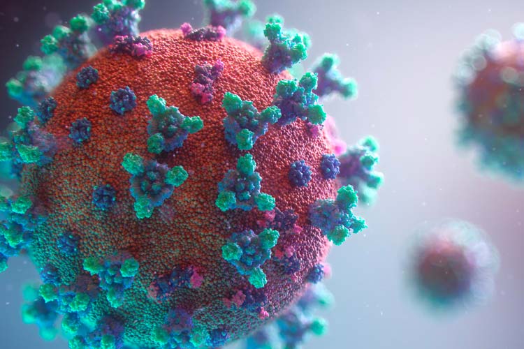Mikroskopische Darstellung des Corona-Virus
